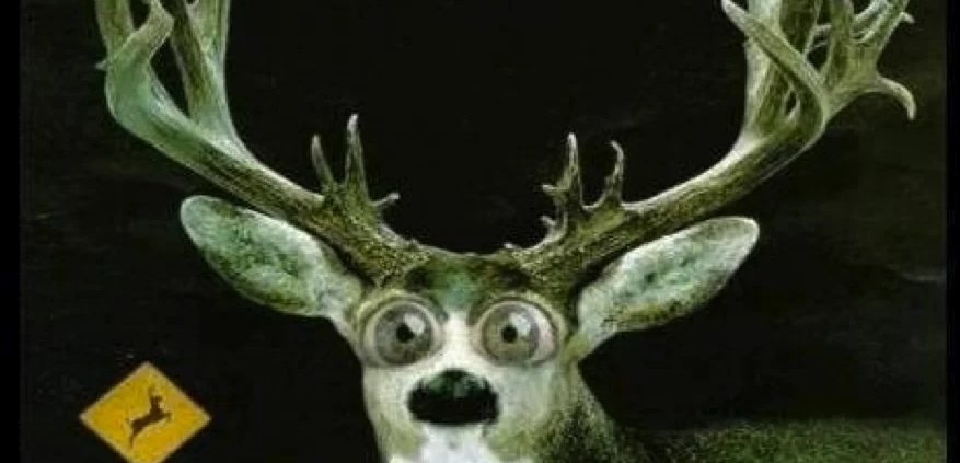 Whaaaaat? Did you say “fundraising??!!!”