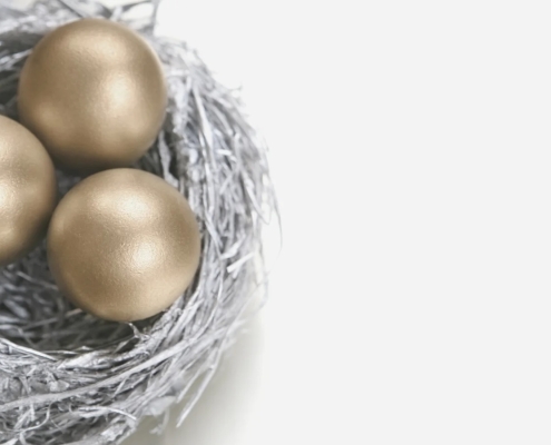 Nest Egg