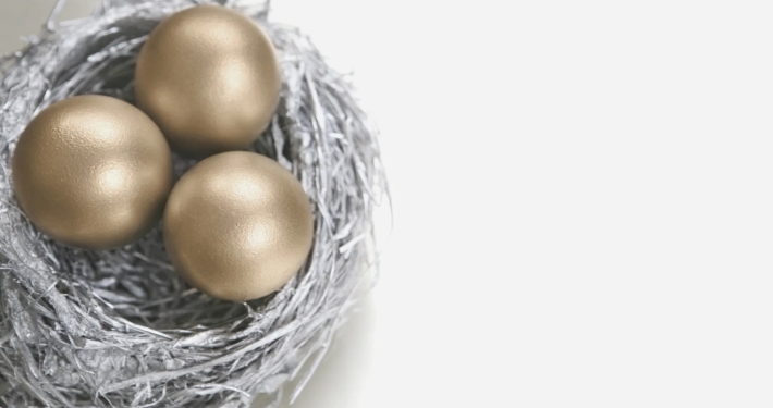 Nest Egg