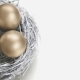 Nest Egg