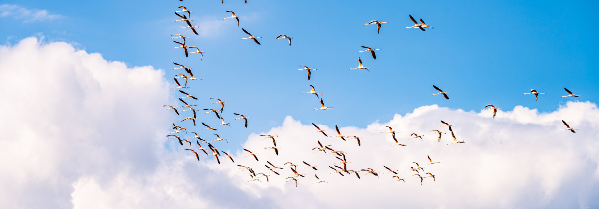Create a Strong General Unrestricted Fundraising Ask