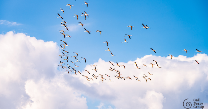 Create a Strong General Unrestricted Fundraising Ask
