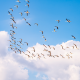 Create a Strong General Unrestricted Fundraising Ask