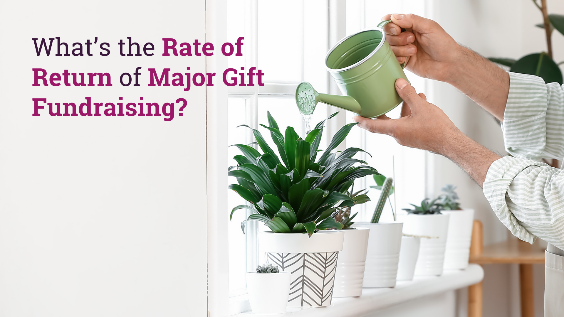 fundraising rate of return, fundraising roi, fundraising return on investment, rate of return of major gifts