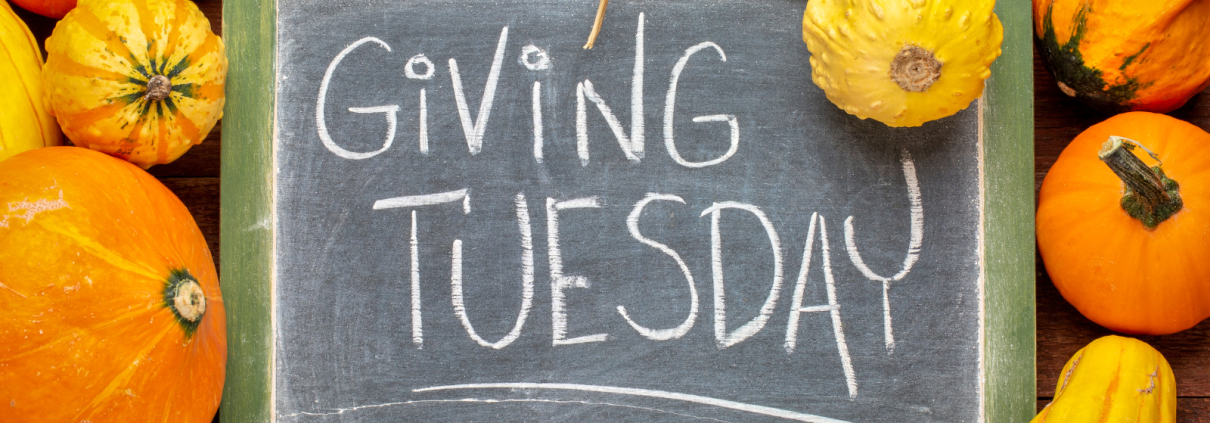 Giving Tuesday: A Powerful Opportunity for Connection | GPG